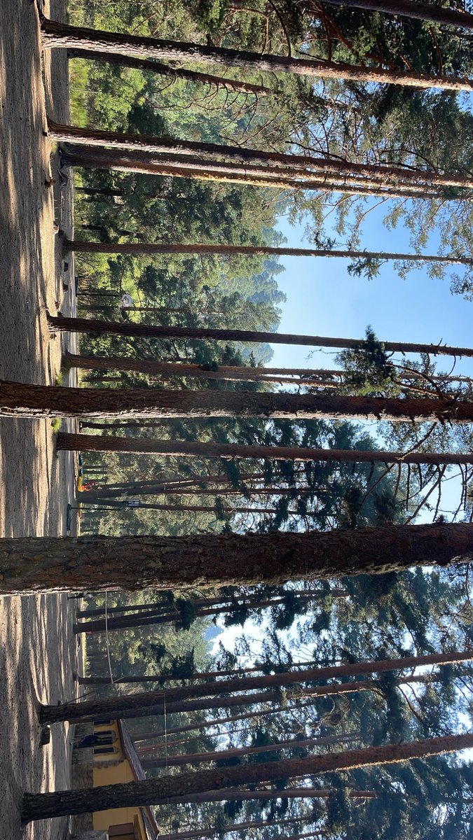 OkPatrixia's tweet photo. @Meteoavila2 hola, estoy en la sierra de gredos, en hoyos del espino, empiezo a ver humo y oler a quemado… me pueden decir si hay riesgo? Las autoridades del Ayto no han dicho nada de momento https://t.co/1V8jyCxwYW