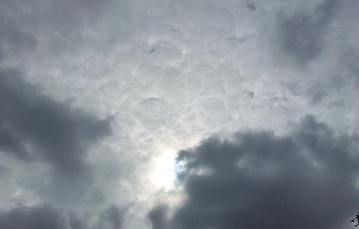domanisole's tweet photo. Germany, July 26–27, 2026
It’s actually the height of summer. Today’s weather forecast: “Mostly sunny”
Those bastards. Cowardly, perverse, diabolical criminals.
#CrimesAgainstHumanity #stardustsolutions #skybastards #geoengineering https://t.co/zadN0SA4Ct