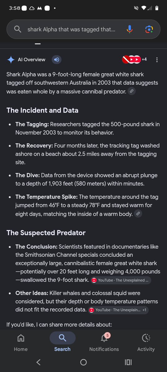 RayRayStone3's tweet photo. #discoverychannel #sharkweek
Y'all gonna do a show bout her?🤔👀 https://t.co/NcbcwOh2Zv