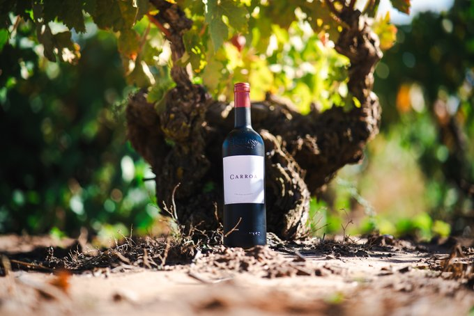 Bodegas_Protos's tweet photo. Descubre Carroa, el vino de Bodegas Protos que rinde homenaje a nuestras raíces. 🍷🍇 Elaborado con uva Tinta del País de viñedos de más de 50 años, es la expresión más pura y elegante de nuestra tierra. ¡El alma de Protos en tu copa! ✨ https://t.co/5DOnoRD7YA