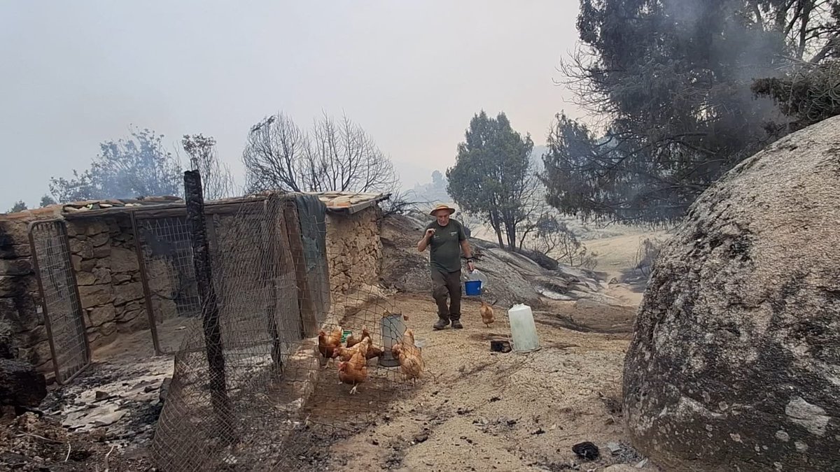 marlucjo's tweet photo. Cuidando de lo que ahora necesita ayuda, en La Rinconada del Valle de Iruelas, #IFBurgohondo. https://t.co/Q7DFH1q9do