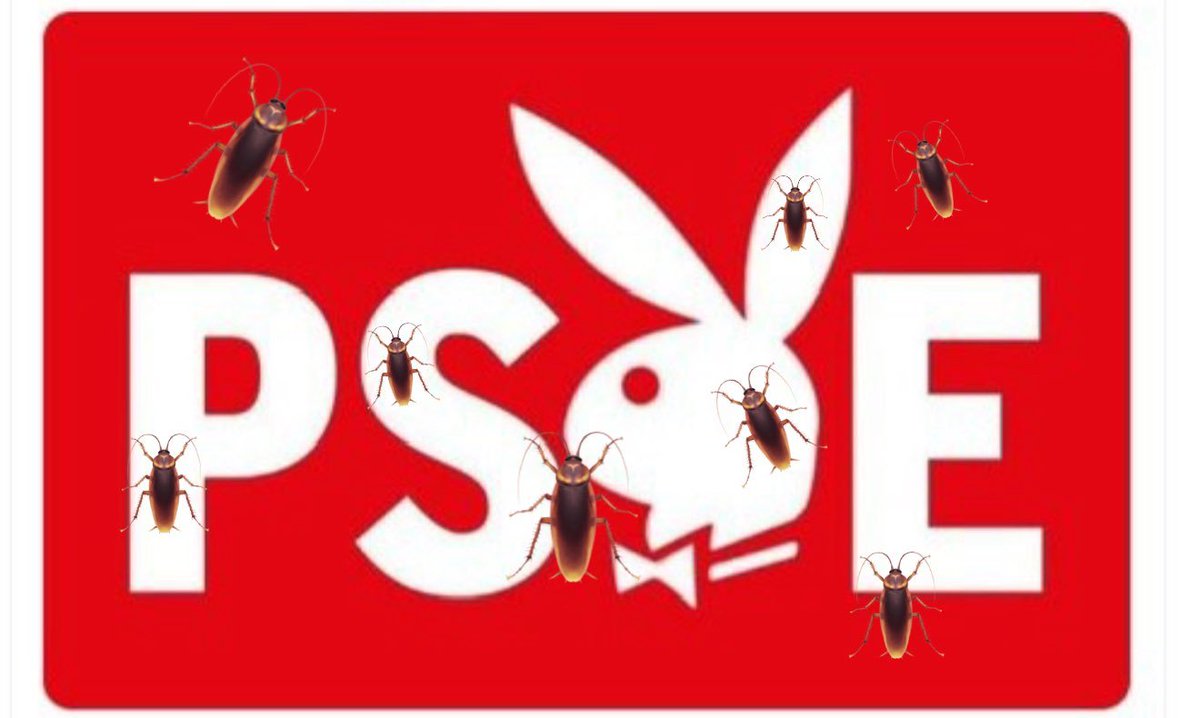 Gabrielissime's tweet photo. @antoniobanos_ D'un espanyol menja 💩 com tú, no ens estranya que facis d'agent electoral de la PSOE.

De què viuràs si no? https://t.co/sFORczROgZ
