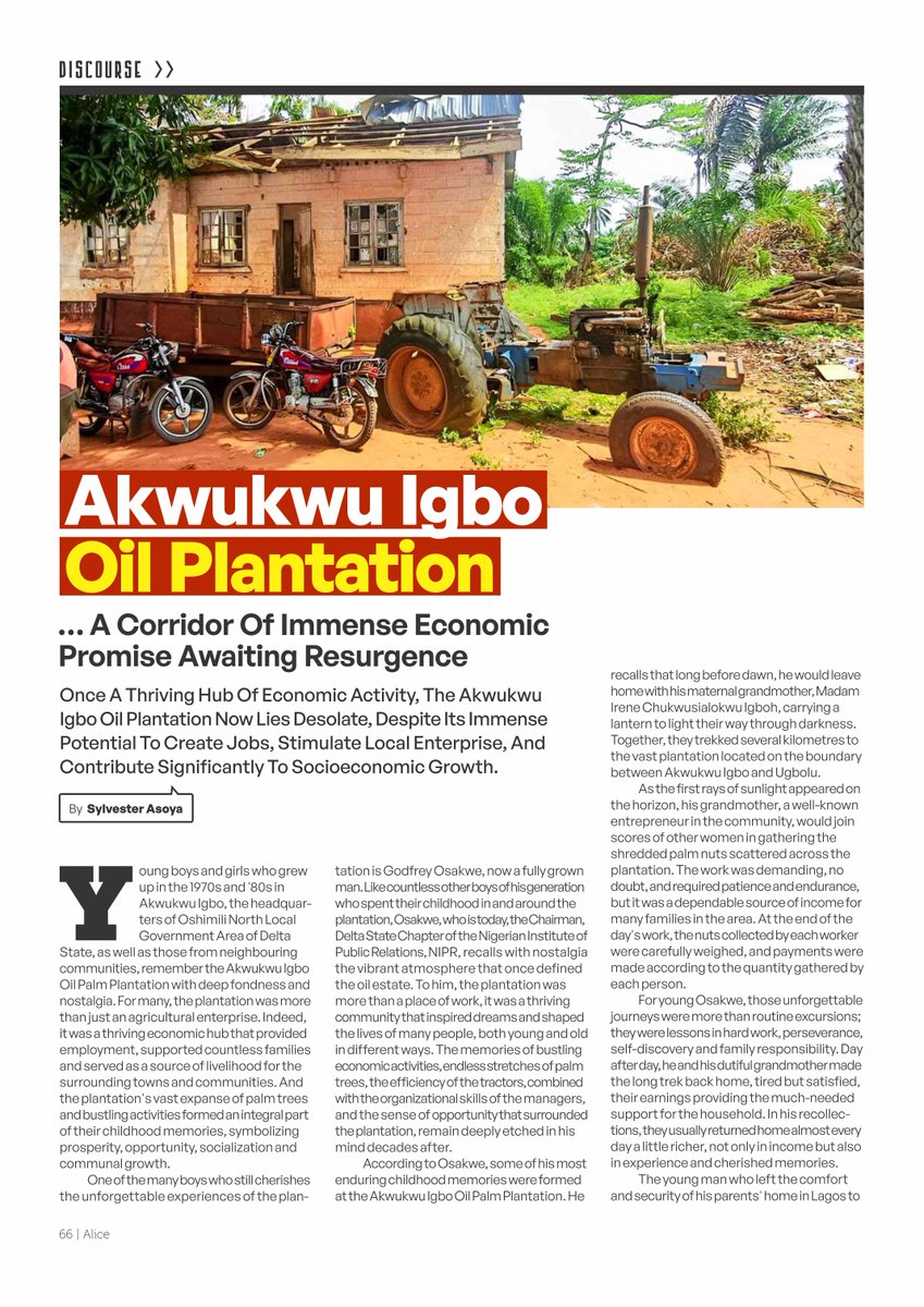 alicemagng's tweet photo. A plantation that fed families, built communities and shaped childhoods. Now lying desolate. 

The story of Akwukwu Igbo Oil Plantation is a Nigeria story of what was, what is, and what could still be. 

https://t.co/l3efTRDZ0d

#AkwukwuIgbo #DeltaState #AliceMagazine https://t.co/pB3XMbUfME