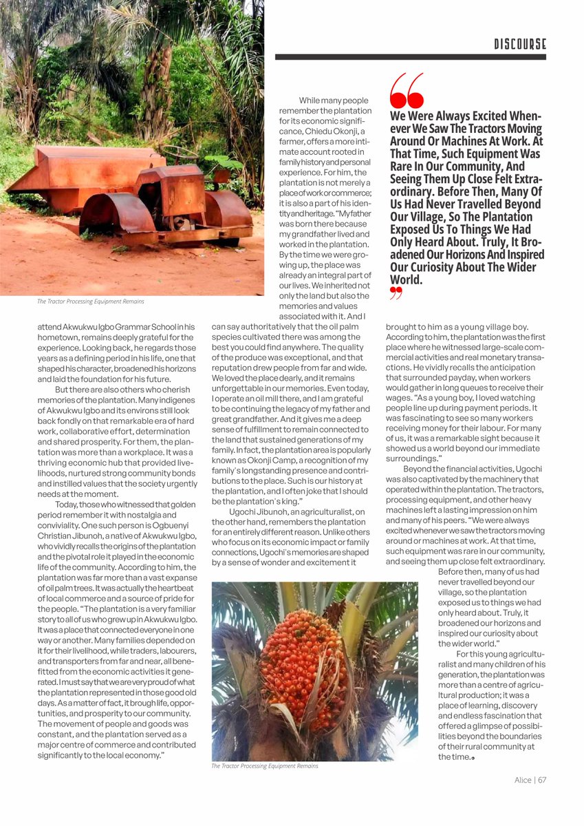 alicemagng's tweet photo. A plantation that fed families, built communities and shaped childhoods. Now lying desolate. 

The story of Akwukwu Igbo Oil Plantation is a Nigeria story of what was, what is, and what could still be. 

https://t.co/l3efTRDZ0d

#AkwukwuIgbo #DeltaState #AliceMagazine https://t.co/pB3XMbUfME