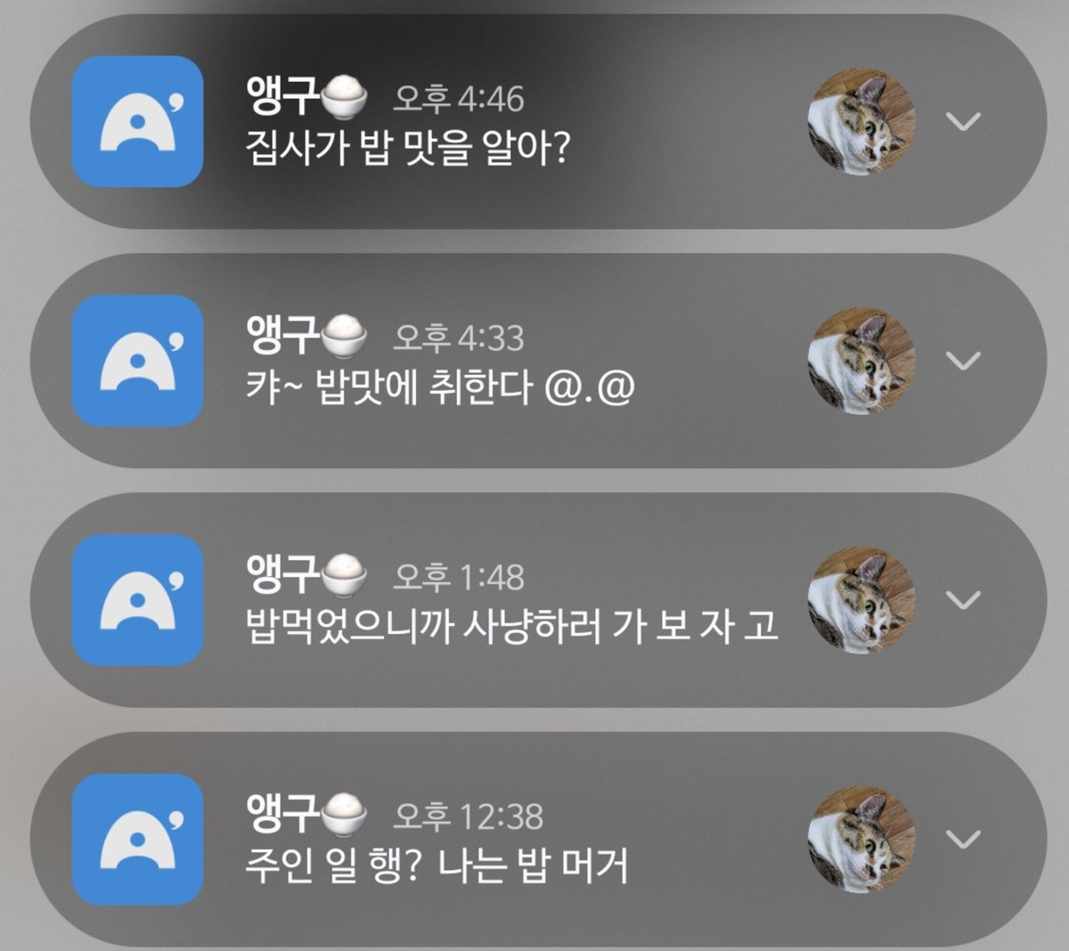 goanggu_gildong's tweet photo. 한편 앵구는 https://t.co/Iv2mGDZVKr