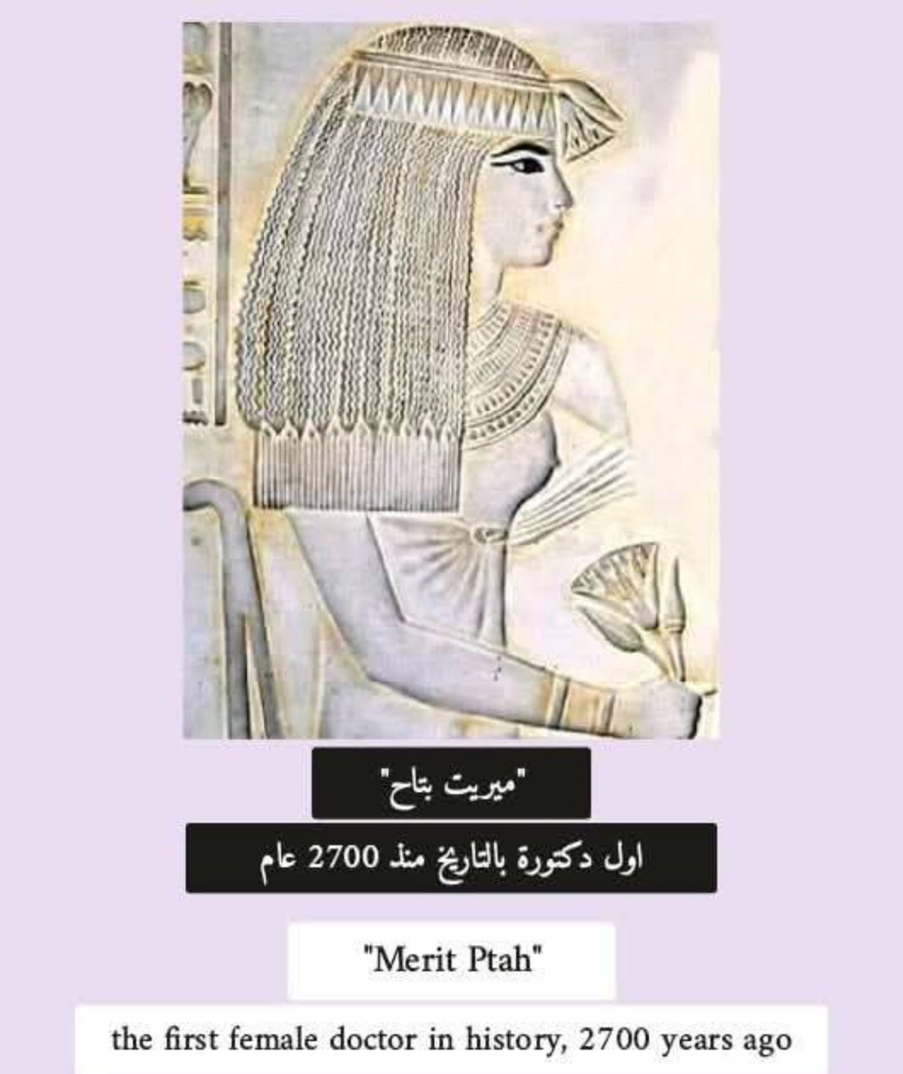 𓂀 Nefertiti : Nile Tales 𓅓 tweet media