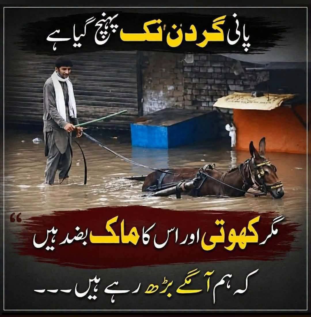 natho009's tweet photo. کھوتی اور اسکا مالک مطمئن ھے https://t.co/rXGCR5hoIF