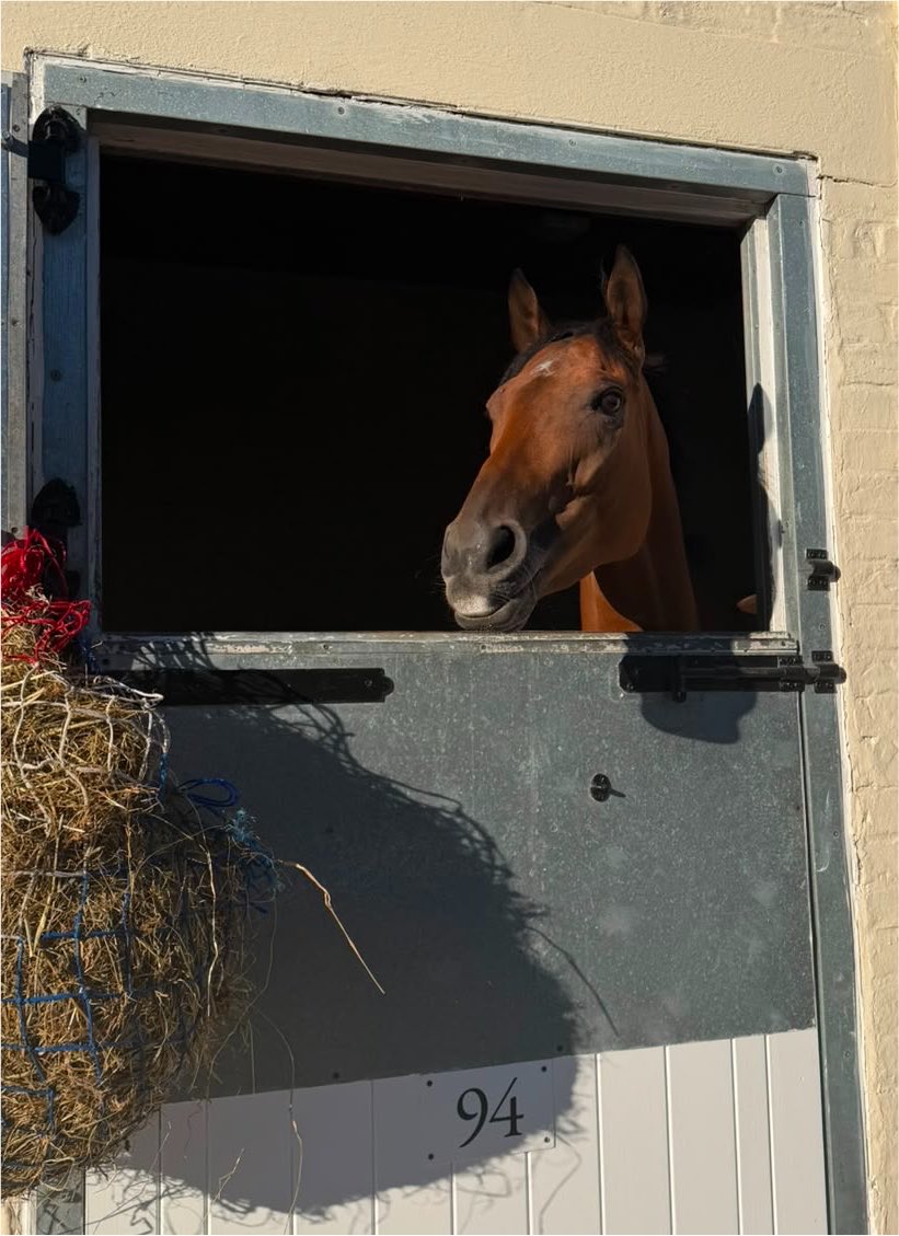 JimGoldieRacing's tweet photo. Woohoo made the long trip to @Goodwood_Races through the night and arrived at 7 this morning, she runs on day 1 of the Glorious Goodwood festival, @_lauren_young rides! https://t.co/XOW30ekObC