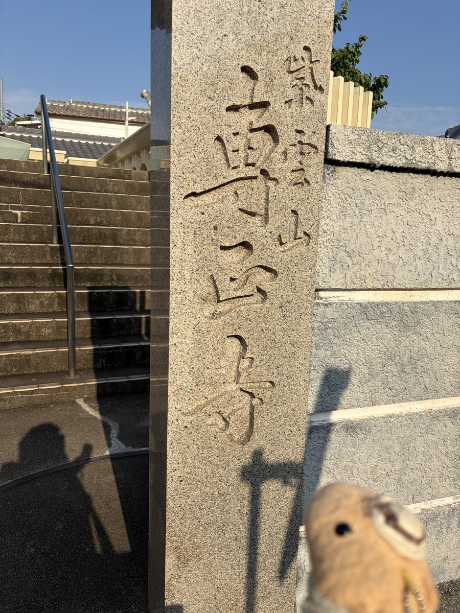 kapitamofu's tweet photo. 続き。お寺の方も見てきて下さいとお勧めされ帰りに参拝してきました。近くに二宮金次郎さんもいましたよ。見本で置いてあった御朱印も素敵でした。美味しくて素敵な時間を過ごしにた来ます。
#お出かけ隊 #カピバラさん #NIRVANACoffee #東大阪 #専正寺 #寺カフェ https://t.co/0jfF4A9Wbr