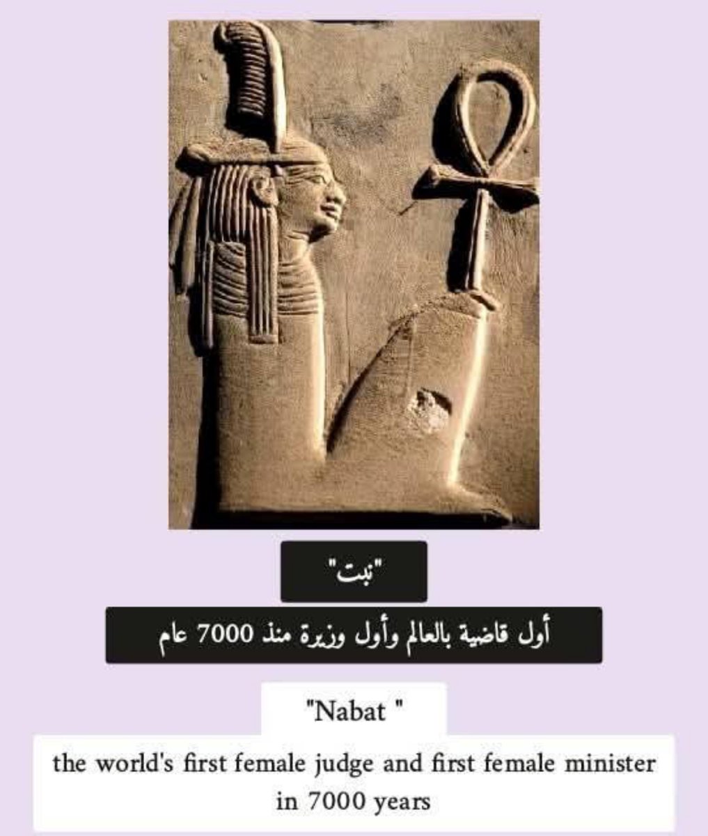 𓂀 Nefertiti : Nile Tales 𓅓 tweet media