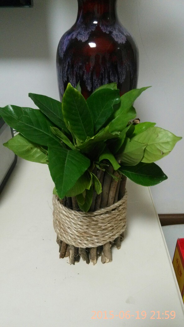 AnnaEdgewo47406's tweet photo. Turn an old glass jar into a cute plant pot with just twine and glue! Perfect small DIY for your desk or windowsill https://t.co/ZM1V8MblM7