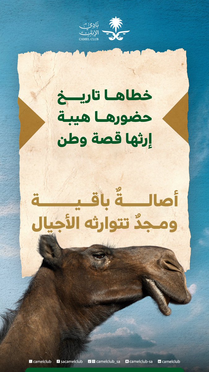 CamelClub's tweet photo. في الإبل ملامح من تاريخنا، وصورة من أصالتنا التي بقيت حاضرة عبر الزمن🐪🇸🇦

#نادي_الإبل https://t.co/wbkI7nCvPv