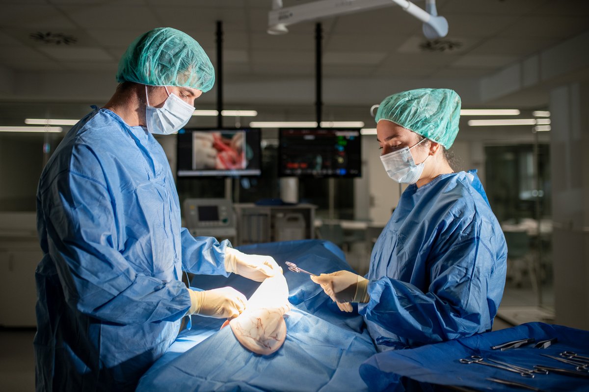 uaxuniversidad's tweet photo. 🩺 ¿Quieres estudiar Medicina en la universidad privada Nº1 en innovación médica en España? 

En #UAX aprenderás con Salud Digital, el mayor Hospital Virtual de Simulación de Europa, +1.800 h de prácticas y preparación MIR.

👉 https://t.co/bmmQQHRD91

#UAX #Medicina #HazloenUAX https://t.co/qAkUuXoqhV