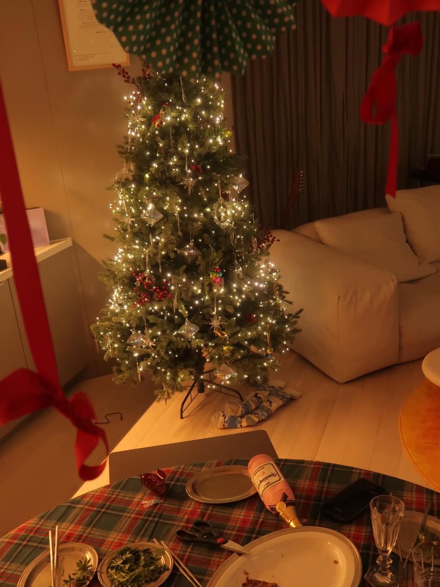 rovse's tweet photo. Under the tree, feeling like a gift. https://t.co/gOzjdxacrB