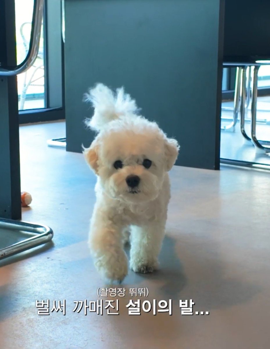 dawn508_'s tweet photo. 아하! https://t.co/MBJdBXOW8M
