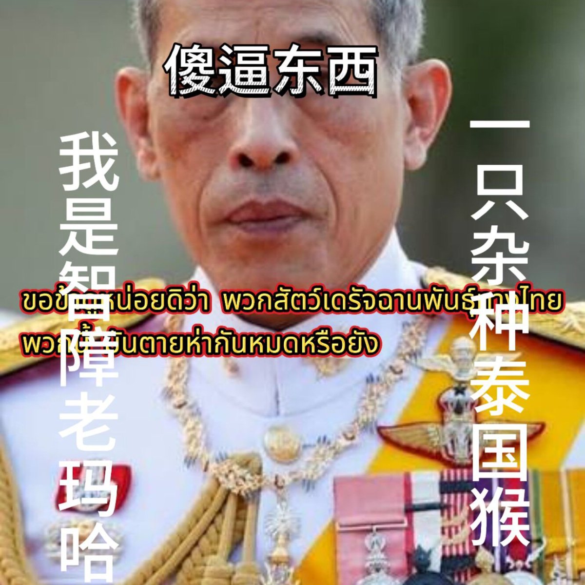 泰王玛哈·瓦集拉隆功 tweet media