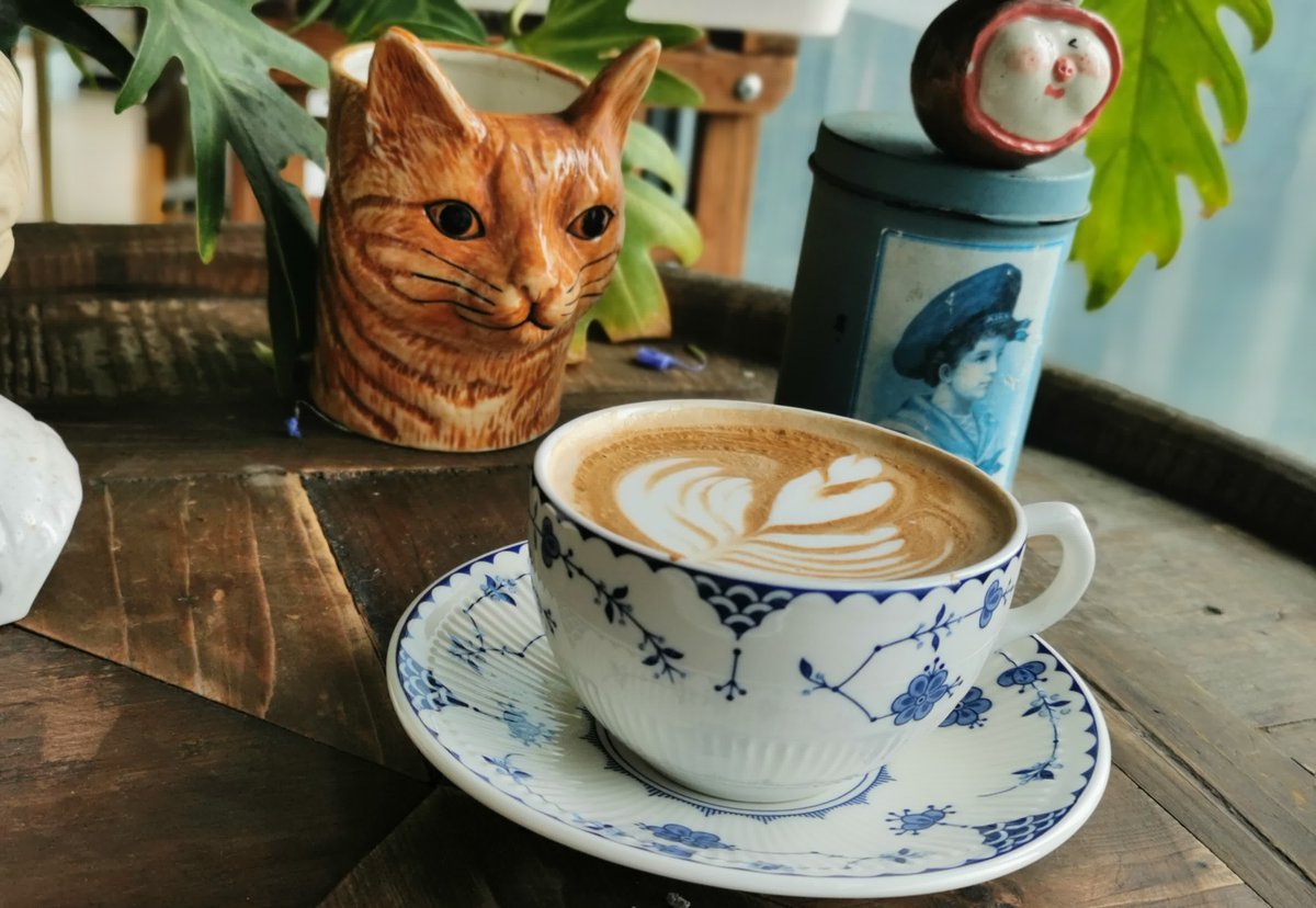 dkwknsksnaldl's tweet photo. Cozy Sunday vibe: baking cookies with my cat curled up on the kitchen counter, warm tea in hand, no plans at all. https://t.co/SUV0VLO8Tp