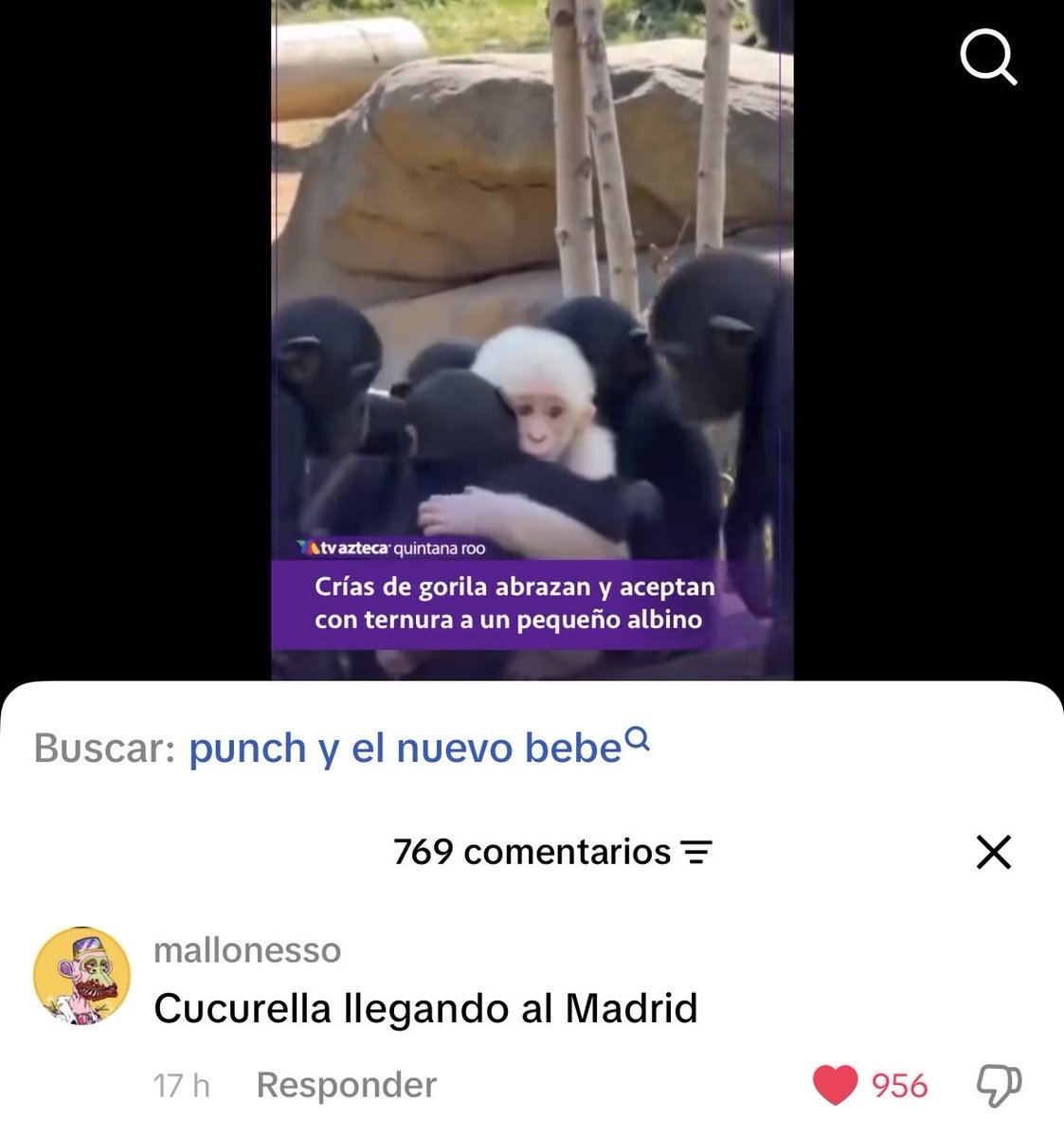 pipesversionn's tweet photo. he dado una voltereta https://t.co/mdegGdetpr