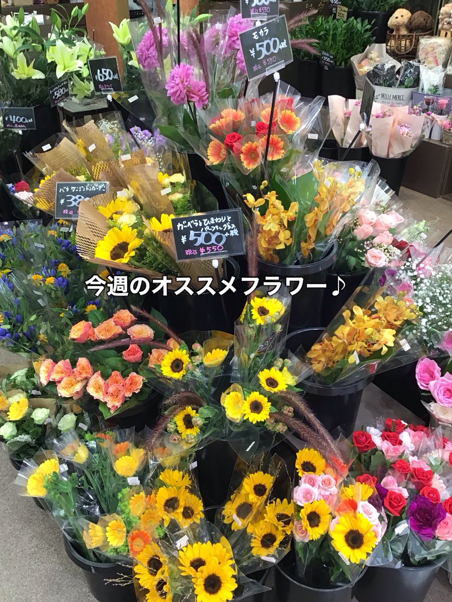 Flower3065362's tweet photo. 今週のオススメフラワーです。
今日持ってきた新鮮なお花達です😁

お手頃に束ねましたので、是非お手に取ってご覧くださいね♪

#花物語中田店 #お手頃フラワー #南仙台花屋
#仙台市太白区中田花屋 #フラワーショップ花物語中田店 https://t.co/g6xF6WBIKw