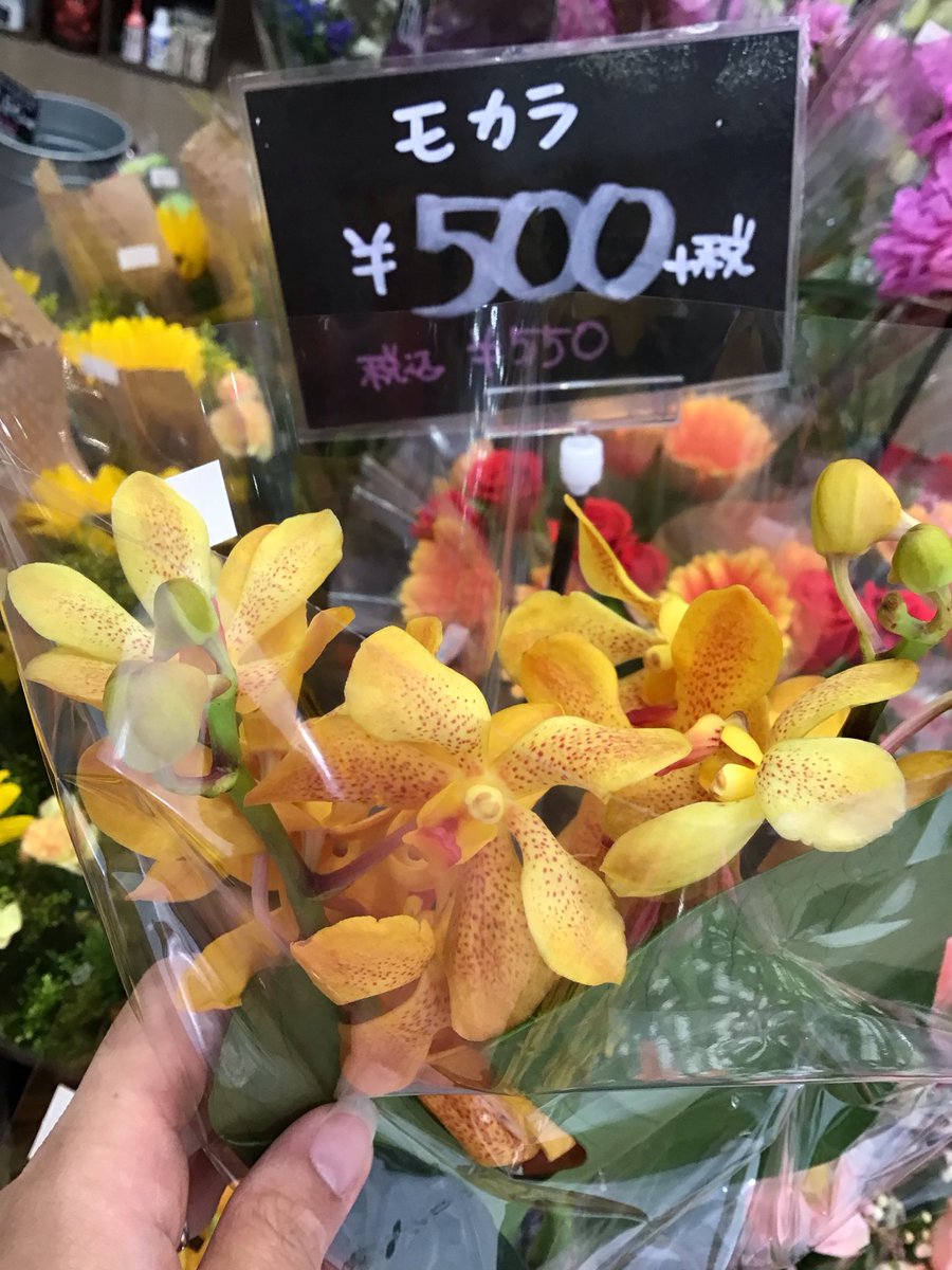Flower3065362's tweet photo. https://t.co/J5Nwqjnu9W