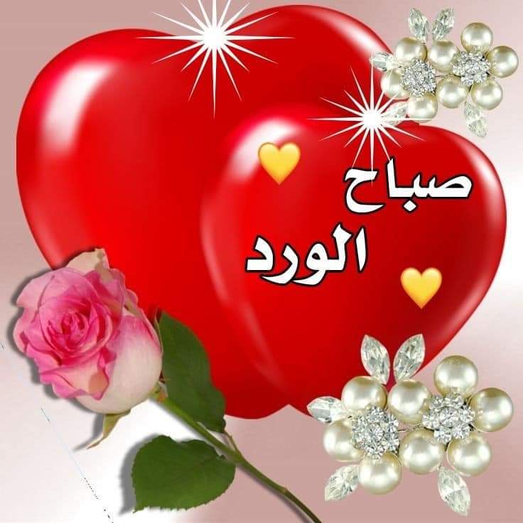 13_e7's tweet photo. @omkhalid119 https://t.co/5DrGTAQcZO