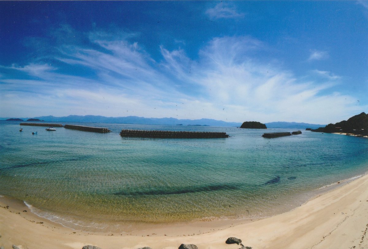orochidou's tweet photo. 【オカチ磯】
愛媛県今治市宮窪町に伝わる。
越智郡宮窪町（現在の今治市宮窪町）にオカチという女性がいた。

ある日、沖合にある四阪島へ牡蠣を打ちに舟を仕立てて行き、海岸に空き家があるのでそこに数名で泊まり込むことにした。

夜中ごろ、犬が吠えるので皆が目をさますと大坊主が腰をかがんでにらんでいた。勝気なオカチがそばにあった竹でつつくと大坊主は姿を消した。

翌日、銘々が別々の場所に散って牡蠣を打っている最中、オカチの姿が見えないので探すと磯で死んでいた。遺体を連れ帰って弔ったが、それ以降この磯で舟がイカリを下すとその綱を伝ってオカチが襲ってくるようになった為、この磯を「オカチ磯」と呼ぶようになり、夜はこの磯にイカリを下ろすことがなくなった。

尚、現地を訪れた者として記録しておくと、四阪島は四つの島が集まったものの総称で、今治市宮窪町のある大島の海岸から南東方向にその姿を視認できる。

また四阪島自体が一企業の所有下にあり、島へ行く観光船等はない。

参考資料：「愛媛の昔がたり」　真鍋博
情報提供・解説文・現地写真提供：猫化不来 氏