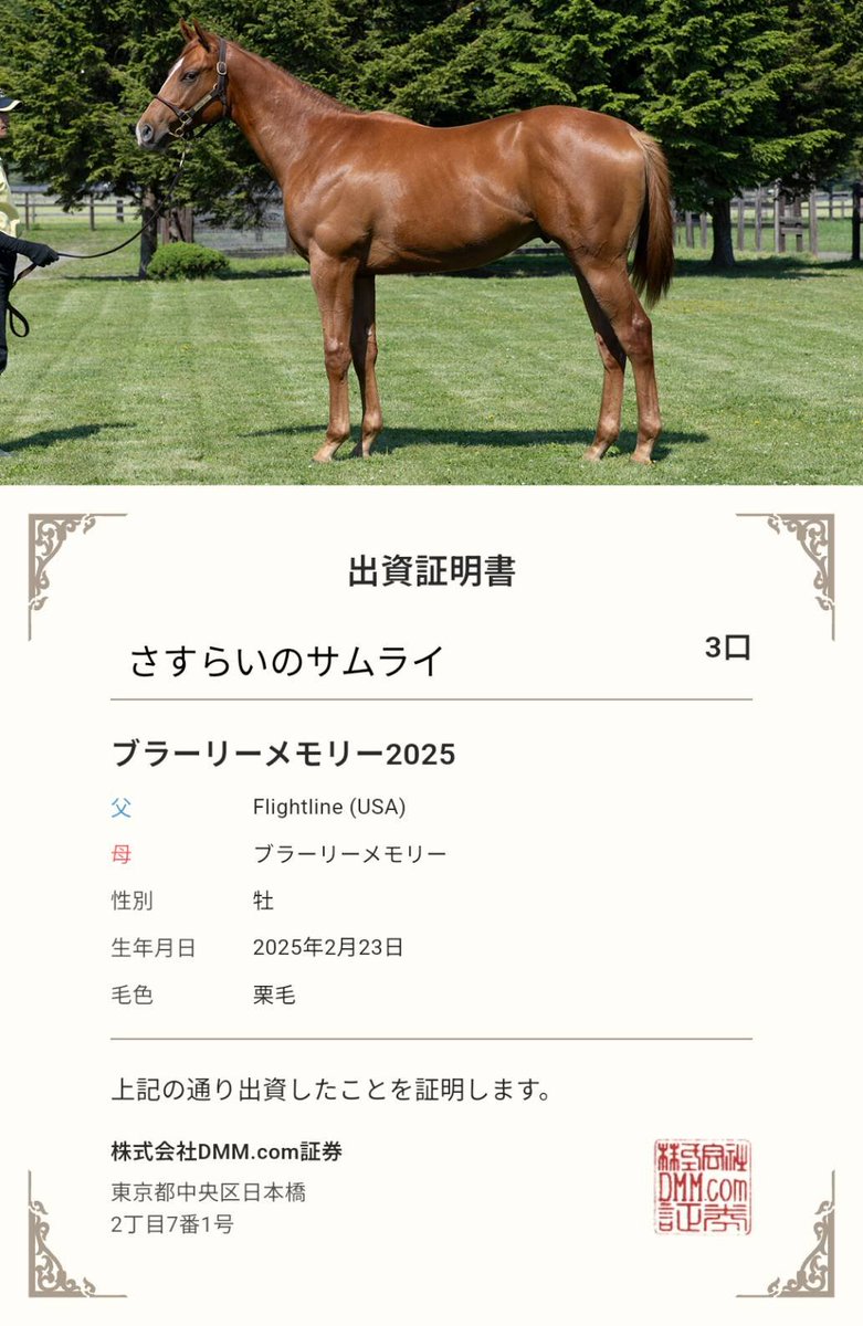 Samurai_Wander's tweet photo. バヌ1期はブラーリーメモリー2025の1頭入魂。
改めてよろしくお願いします☺︎ https://t.co/esZMH5Csrg