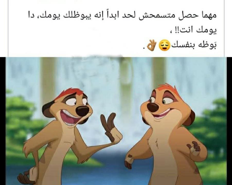 اشرف غنيم tweet media