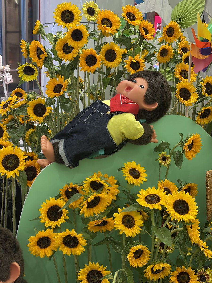 _2llxuv's tweet photo. 今日の収穫🌻 https://t.co/ajM2sdsjff