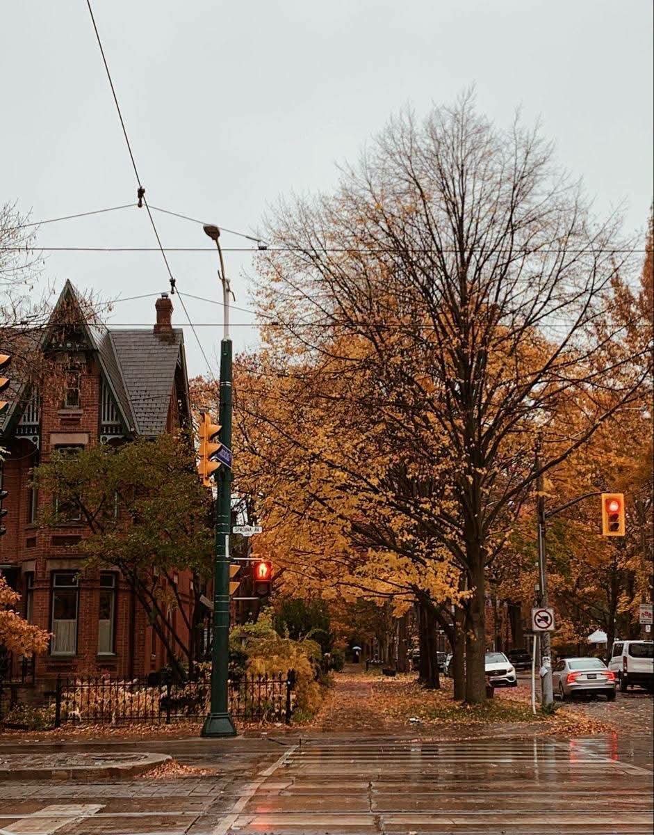 NatureRoot88's tweet photo. countdown to autumn🥐🧡 https://t.co/gmHHdywgHO