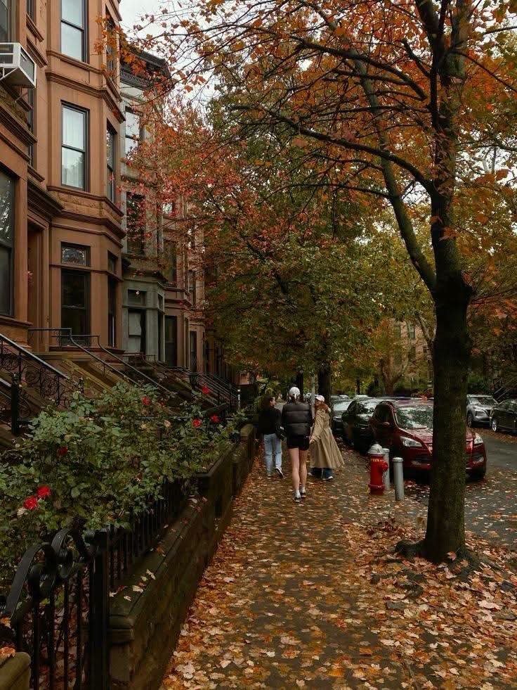 NatureRoot88's tweet photo. countdown to autumn🥐🧡 https://t.co/gmHHdywgHO