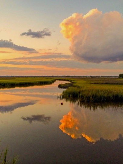 _Naturaee's tweet photo. a peaceful sunrise https://t.co/GeQZWYMcvn