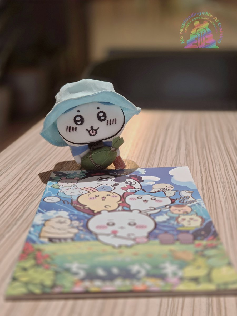 🔥ぬいたちとへけと🐸 tweet media