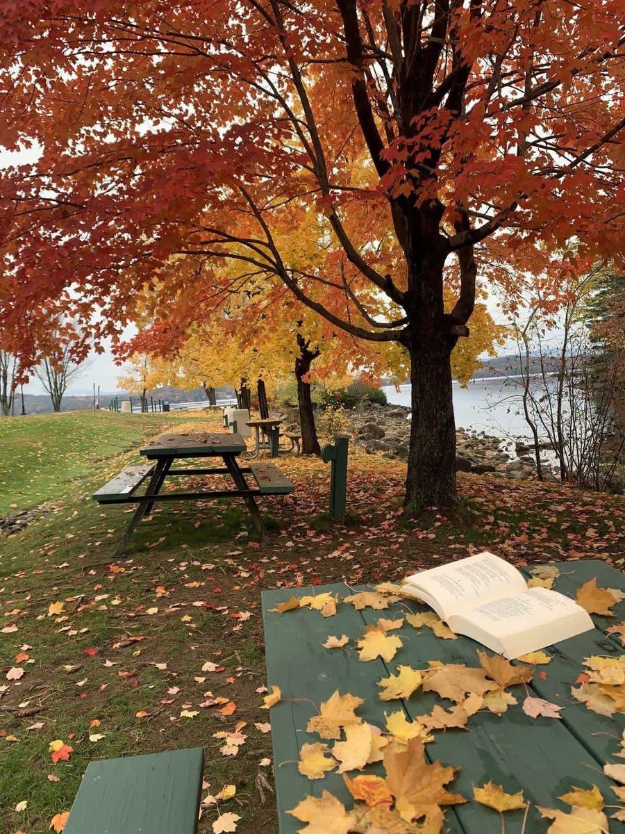 NatureRoot88's tweet photo. countdown to autumn🥐🧡 https://t.co/gmHHdywgHO