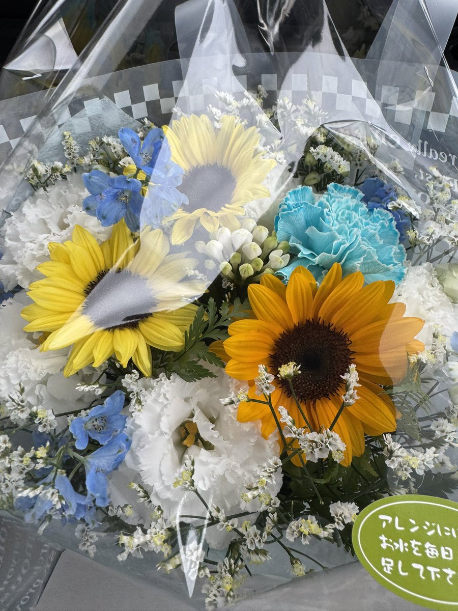 ocarina_kitchen's tweet photo. 知り合いのプードルが19歳と６ヶ月で虹の橋🌈を渡りました。突然訪ねたらマスターびっくりしていましたが、今日は仕事が手につかないようでした。

少しずつ心が回復しますように。
本当に良いパートナーでしたね！ https://t.co/kMh7nQfBl3