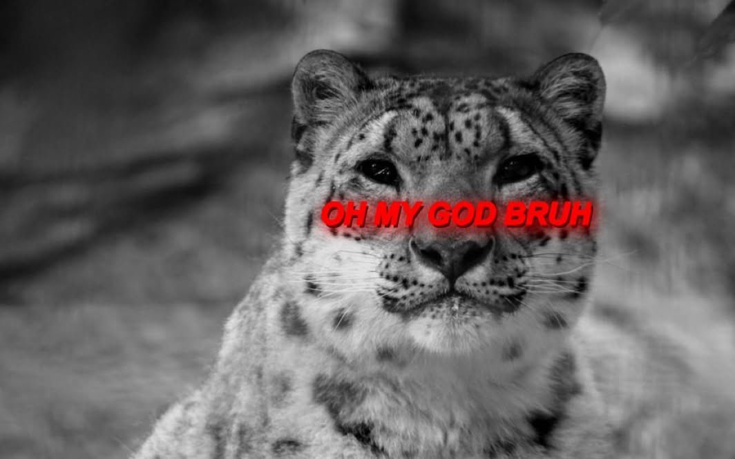 accardiamor's tweet photo. Mfs when they actually deal with a codependent but also avoidant person whos not spamming cute pet names in their dms or a hot mommy chick acting nonchalant https://t.co/3RCl58rZ7j