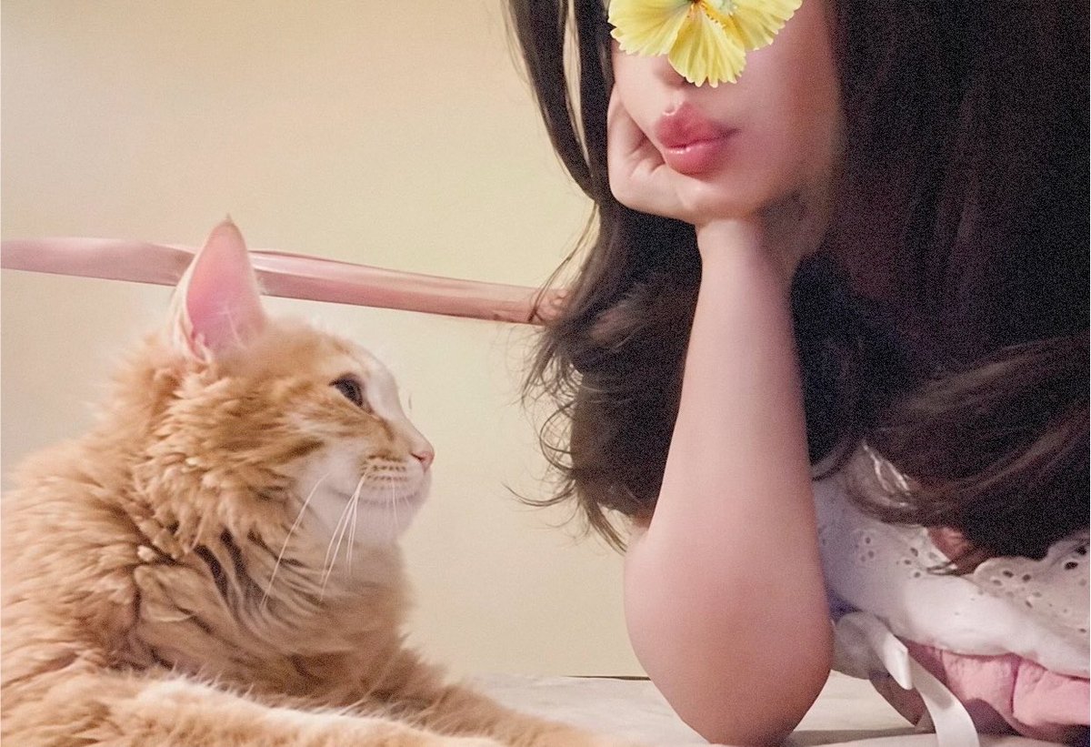 966sxx's tweet photo. Meoww https://t.co/ObaqI2iDKJ