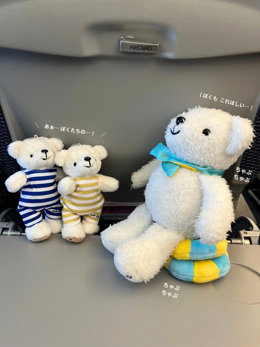 airdo_hokkaido's tweet photo. 新しいお友達が遊びに来ました！• ᴥ • https://t.co/tp1LRMtcZ7