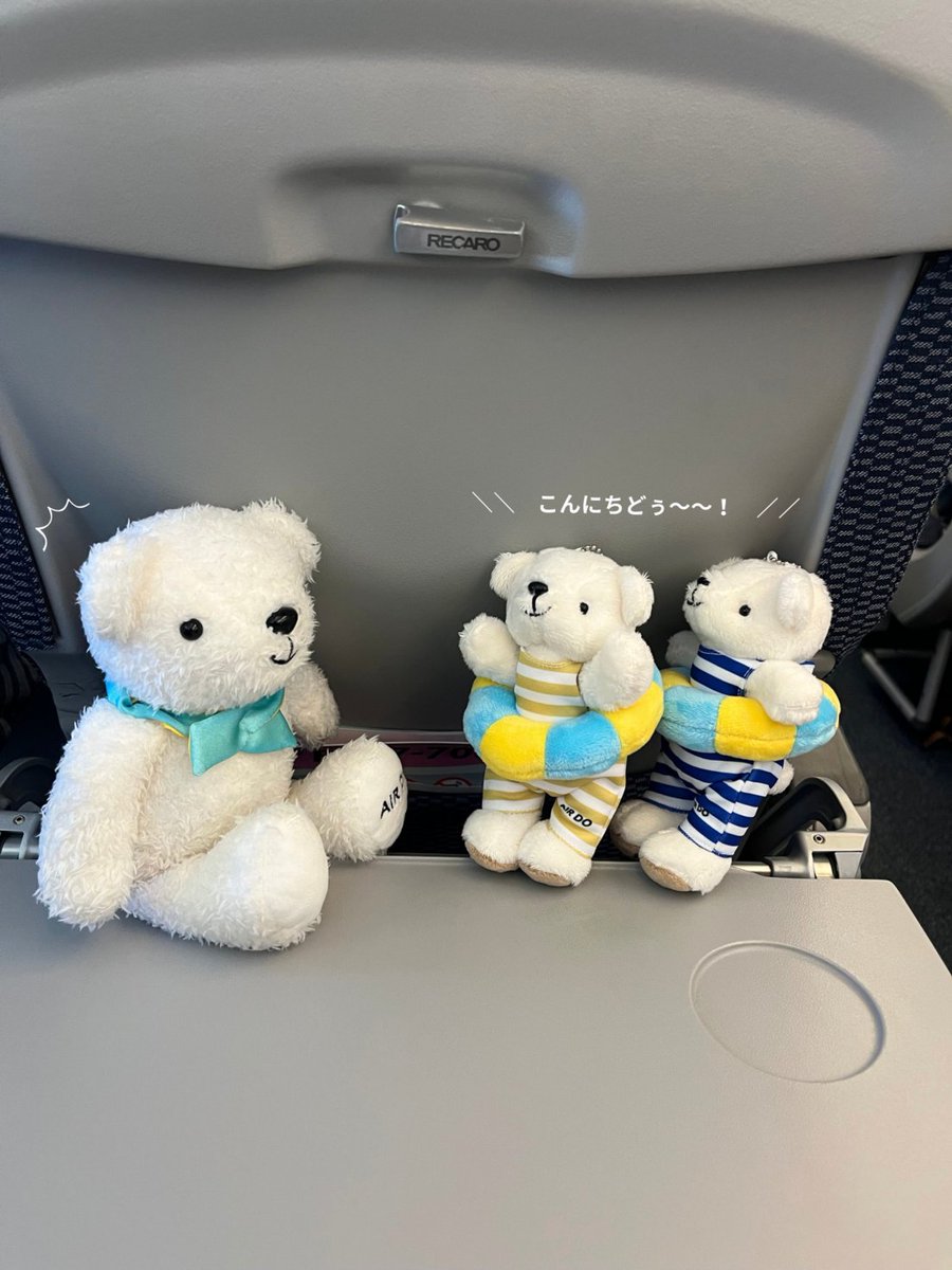 airdo_hokkaido's tweet photo. 新しいお友達が遊びに来ました！• ᴥ • https://t.co/tp1LRMtcZ7