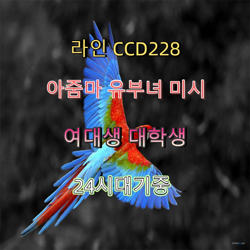 Joseborbollac's tweet photo. #고양 #ㅈㄱ #고양조건 #ㄱㄷ #고양ㅈㄱㅁㄴ 🤝 https://t.co/St6bs1eHgK