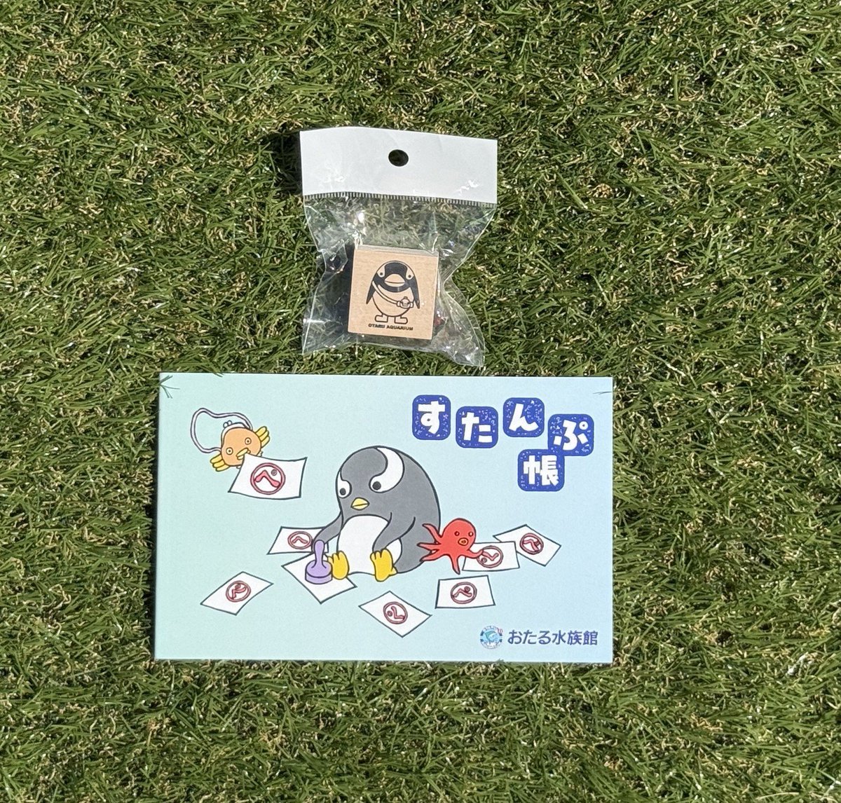 otaruaquarium's tweet photo. 本日最後!
No.4（上）木製スタンプ　ペン太
（税込￥550）
ペン太の木製スタンプです。色々なものを、ペン太グッズにしてみましょう。

（下）スタンプ帳（税込￥250）
たっぷり押せるページ数です。
そのほか、ぬりえ、4コマ漫画、ペン太のプロフィールのおまけ付きです。
【おたる水族館オリジナル】 https://t.co/T4BZDHFn23