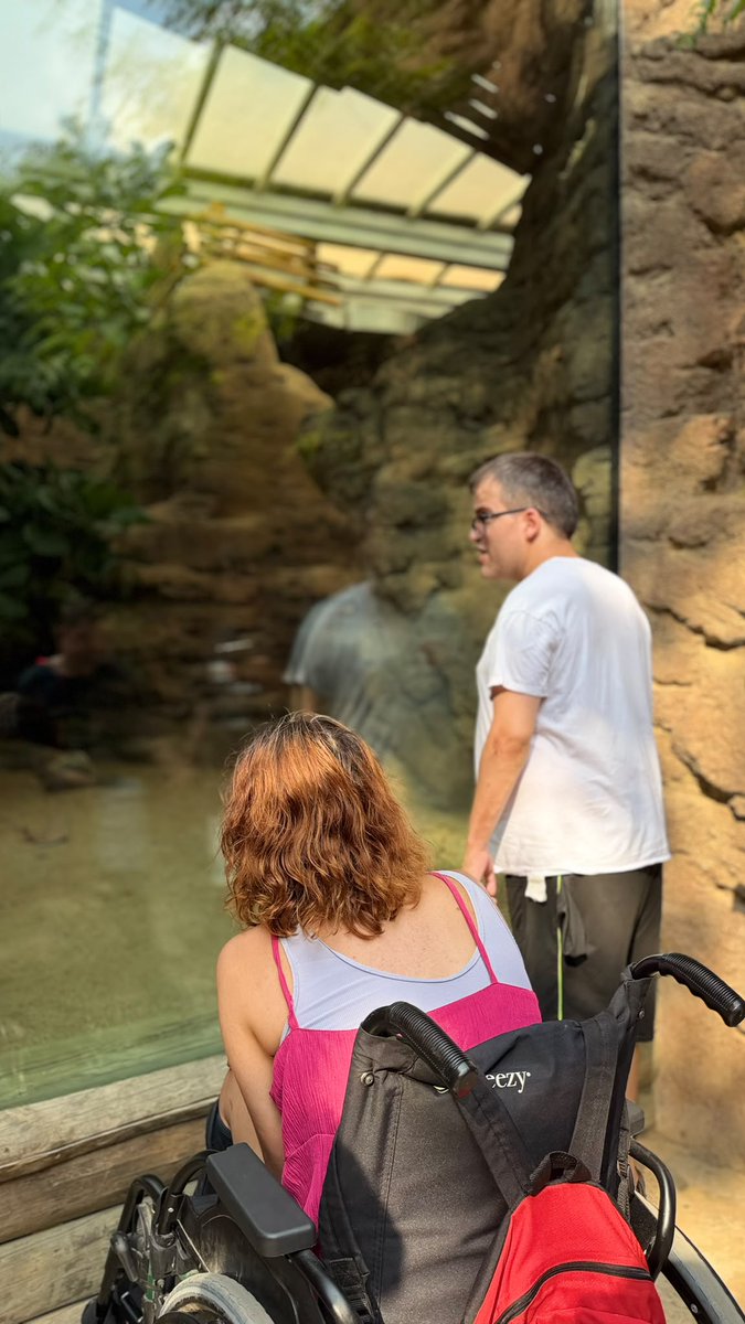 fundacioaspasim's tweet photo. El passat dissabte a Ninobaldufa vam começar les vacances d'estiu amb moltes ganes!🥳 Vam visitar el @ZooBarcelona, un clàssic que sempre triem i que ens encanta! 🦍🦁🦓🦭. 
Ja estem a punt per gaudir de totes les aventures de l'estiu!! 

#Aspasim #estiu #LlarsAspasim #oci https://t.co/99CfG2Egbv