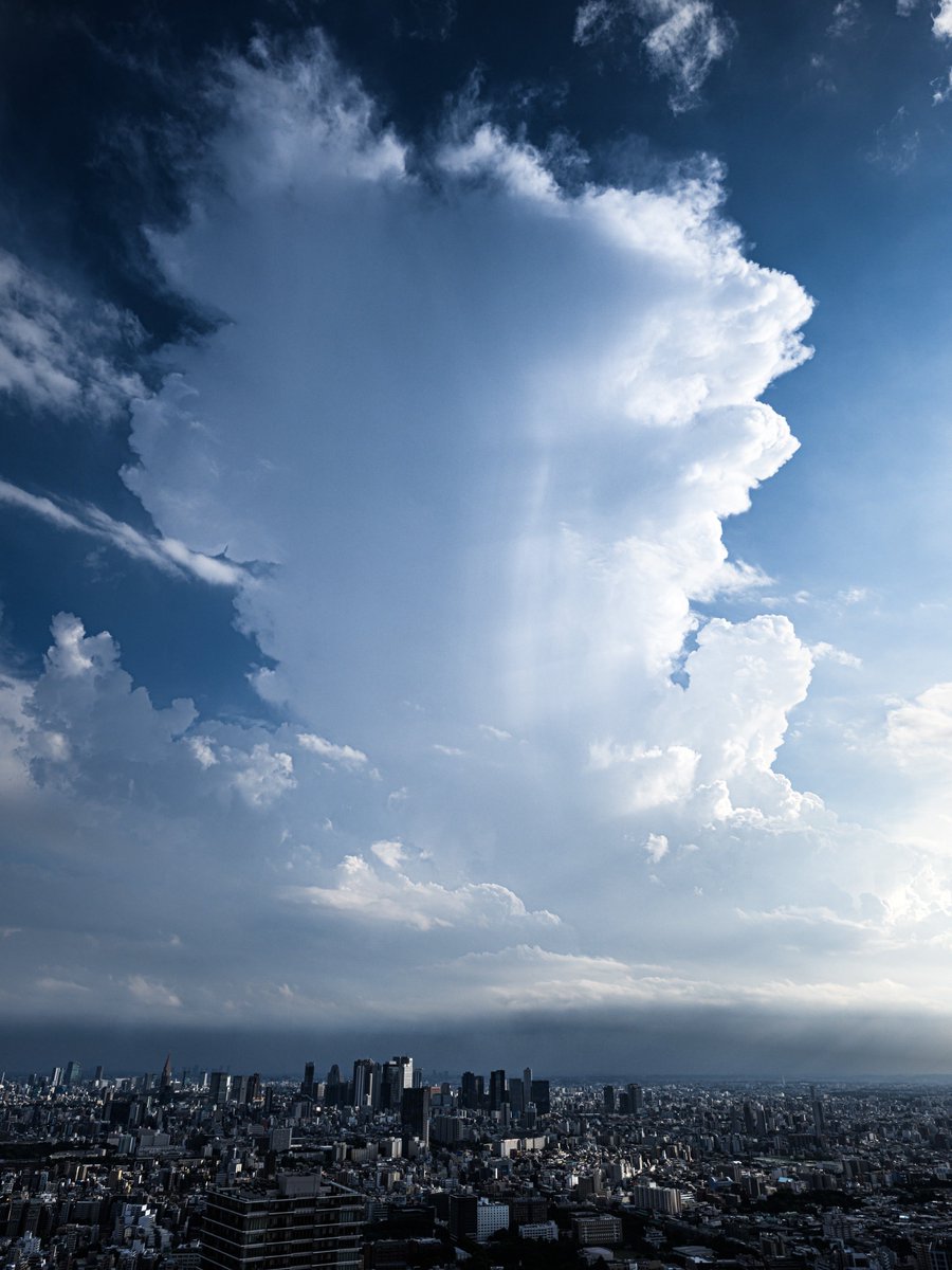 Nitto_Photo's tweet photo. 東京の空に現れた夏の怪物 https://t.co/Bmaxt4AzGc