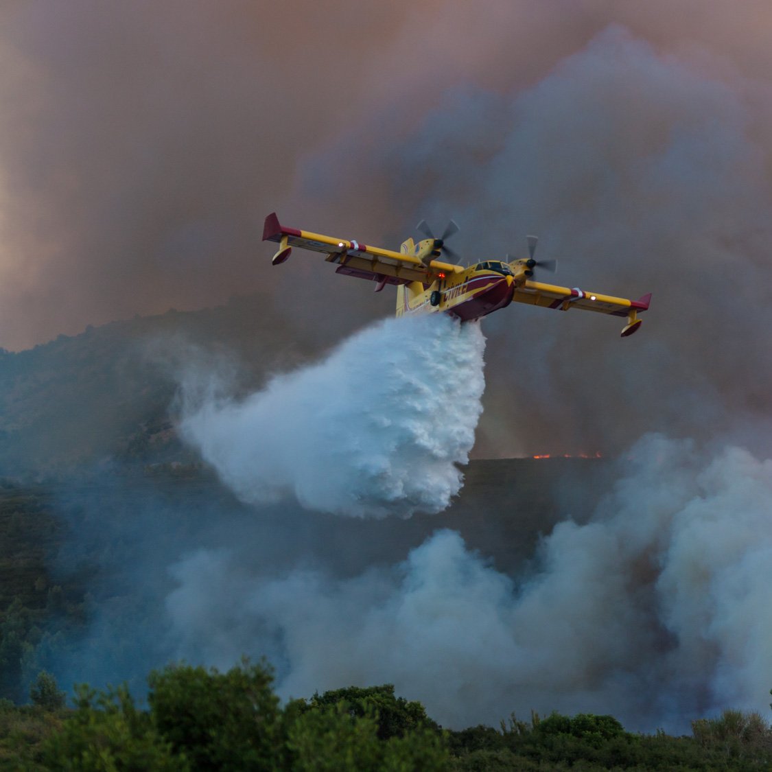 AlertesInfos tweet media