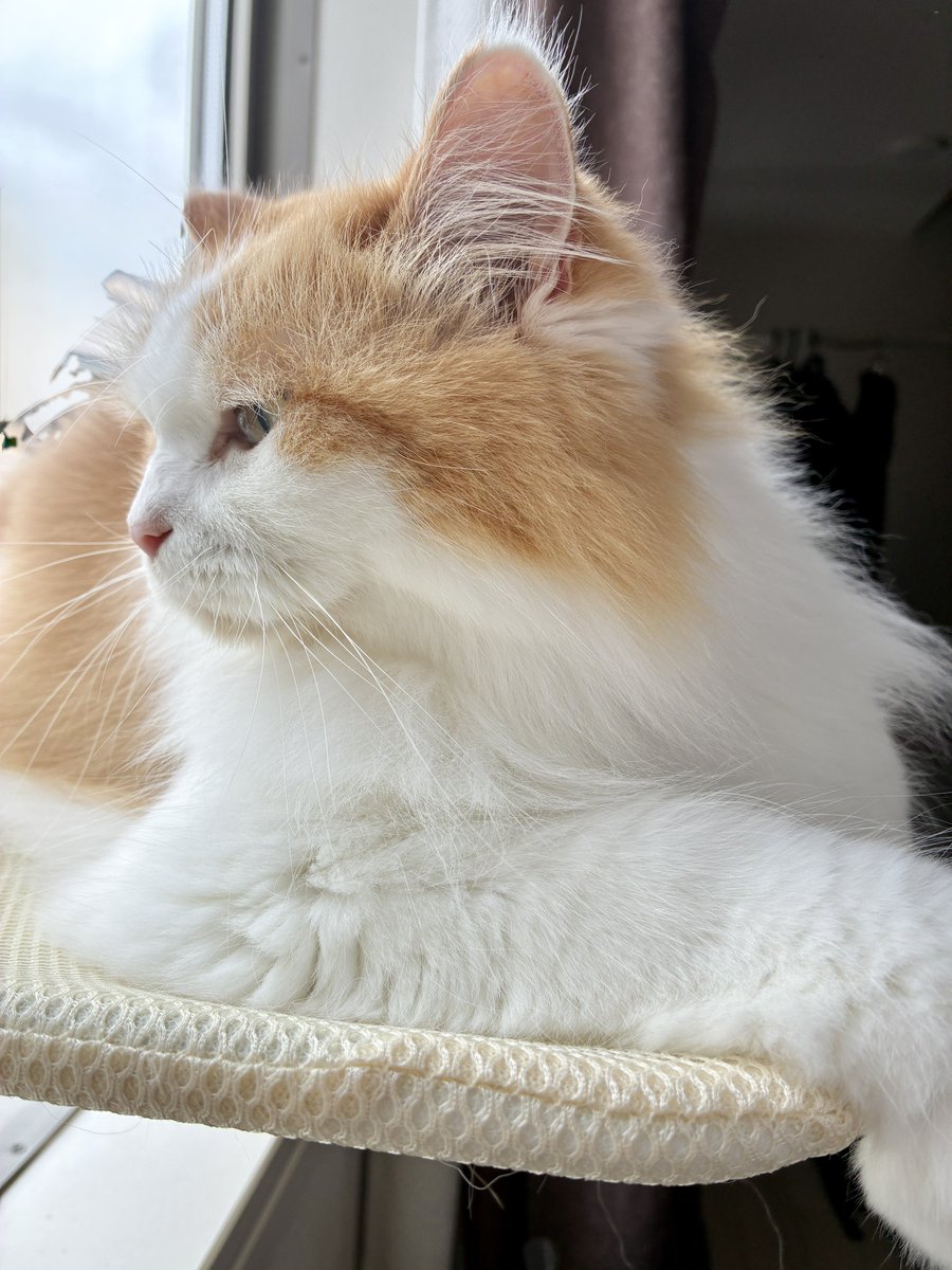 UiCh0827's tweet photo. 今日も一日お疲れ様でした🐾 https://t.co/Mzhr7tXzuq
