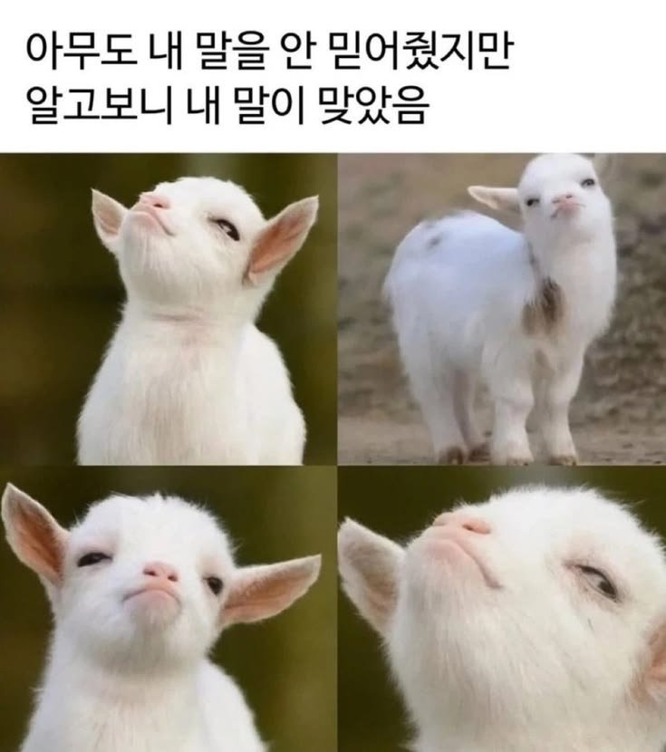 0_00ooosjt2's tweet photo. 걍 오늘 백사언 https://t.co/ceOnS40QzT