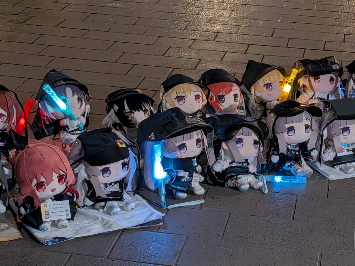 ari_hokuto's tweet photo. うちの子も頭の先っちょだけだけど映ってるやん😭 https://t.co/5qL6EW7xwO