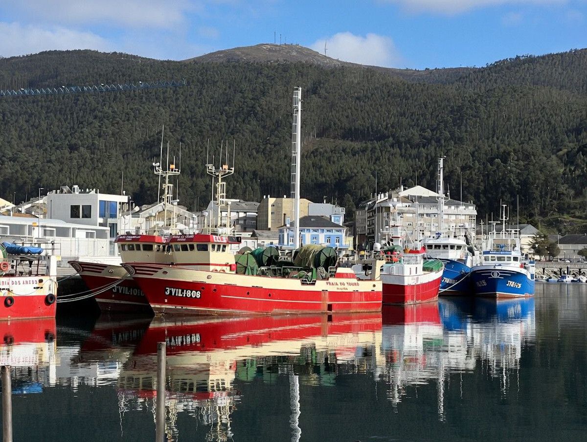 IPesqueras's tweet photo. #Cuotas | Pesca actualiza el censo y las posibilidades de pesca de las flotas de altura, gran altura y palangreros que operan dentro de los límites de NEAFC
https://t.co/OzpjJSL5R8 https://t.co/luIhILglER