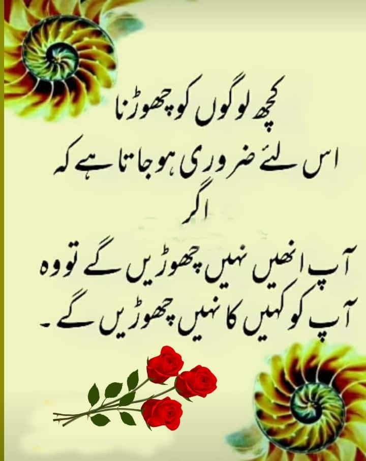 shafiq_51's tweet photo. https://t.co/ewDUaMGcv7