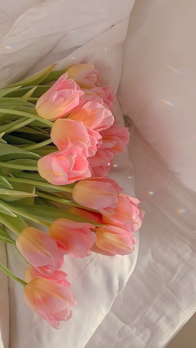 Cake_020's tweet photo. 튤 - 립 💐🌷 https://t.co/4W4eapsaMs